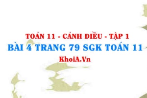 Bài 4 trang 79 SGK Toán 11 tập 1 Cánh Diều